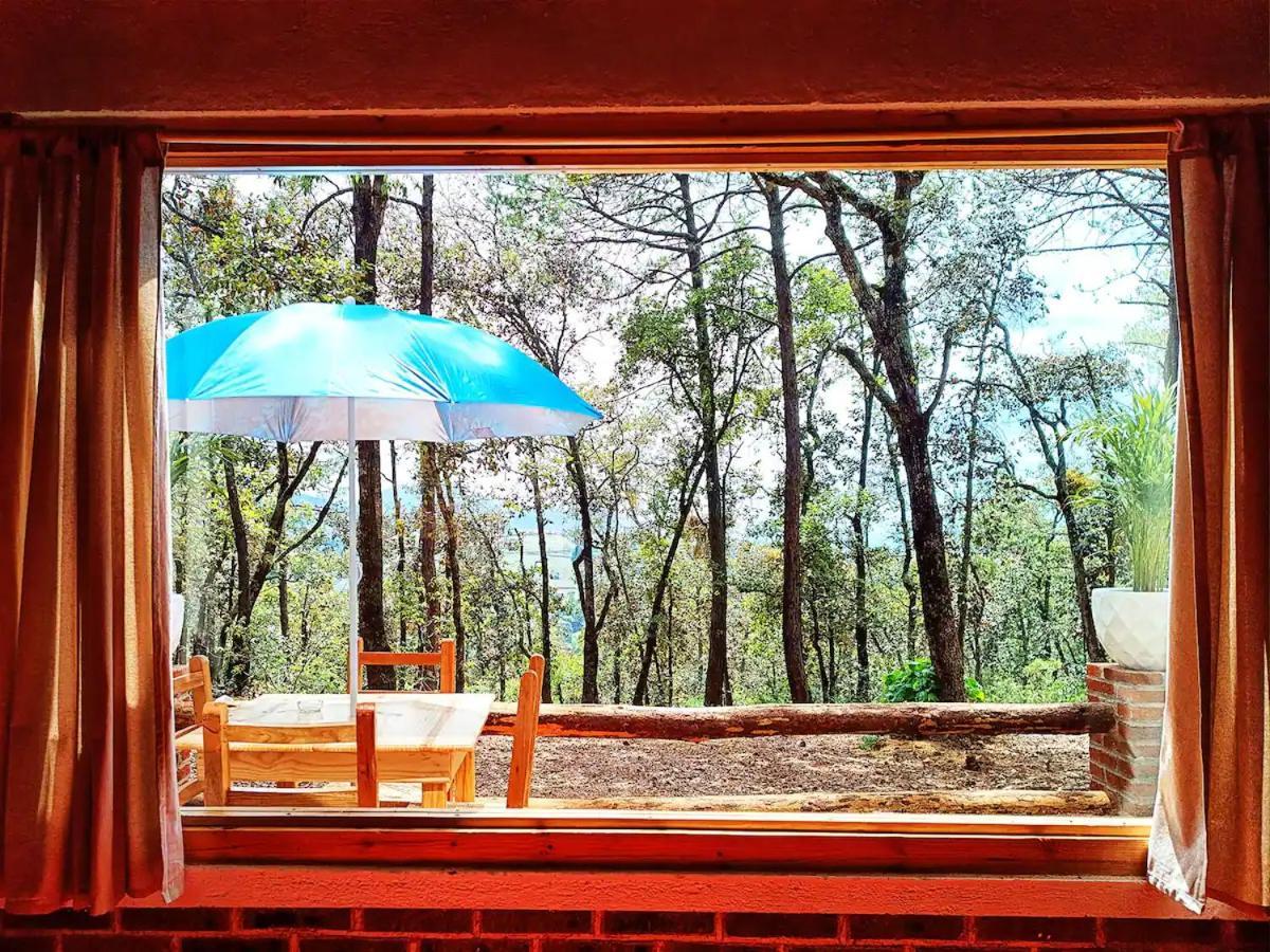 Cabana Para Pareja En El Bosque Ib Acaxochitlán Exterior foto